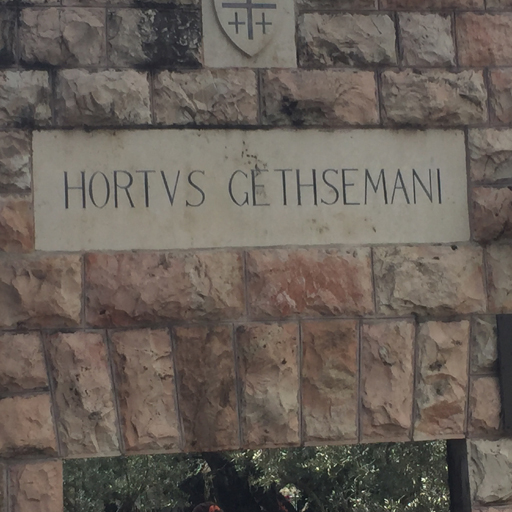 Gethsemane 5
